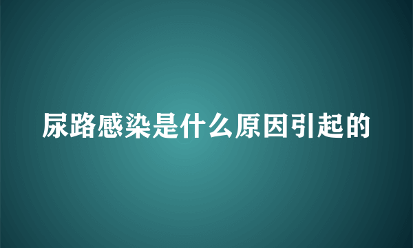 尿路感染是什么原因引起的