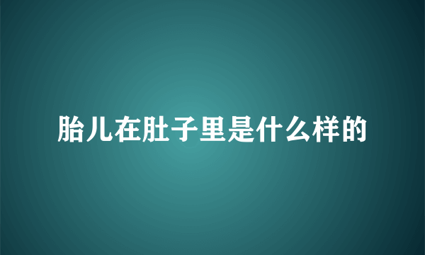 胎儿在肚子里是什么样的