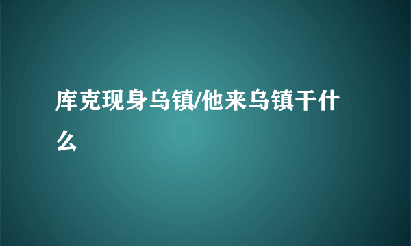 库克现身乌镇/他来乌镇干什么