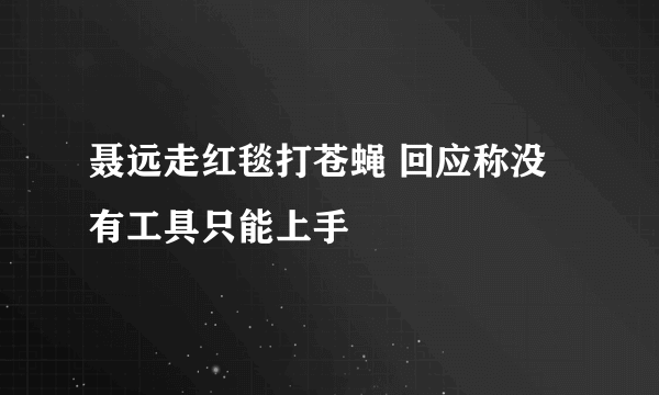 聂远走红毯打苍蝇 回应称没有工具只能上手