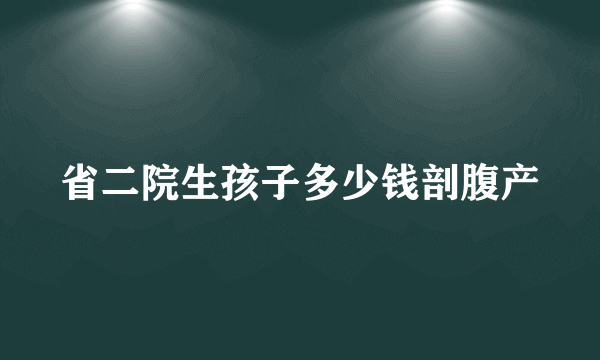 省二院生孩子多少钱剖腹产