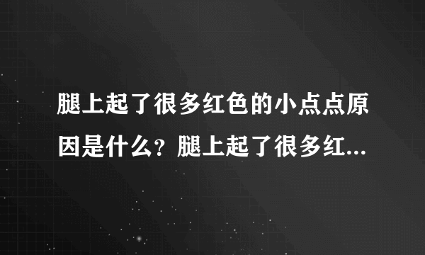 腿上起了很多红色的小点点原因是什么？腿上起了很多红色的小点是患上了什么病