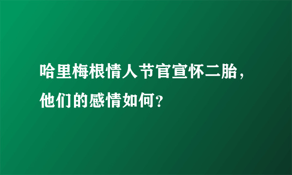 哈里梅根情人节官宣怀二胎，他们的感情如何？