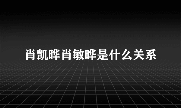 肖凯晔肖敏晔是什么关系