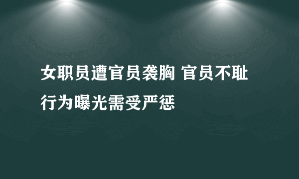 女职员遭官员袭胸 官员不耻行为曝光需受严惩