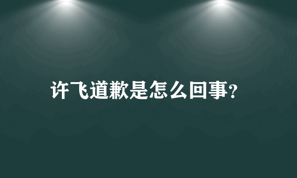 许飞道歉是怎么回事？