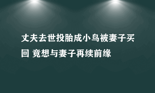 丈夫去世投胎成小鸟被妻子买回 竟想与妻子再续前缘