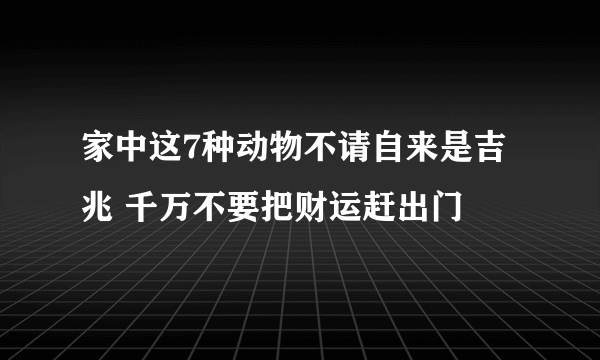 家中这7种动物不请自来是吉兆 千万不要把财运赶出门