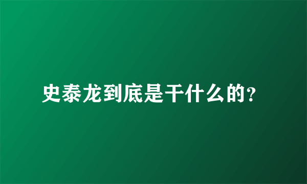 史泰龙到底是干什么的？