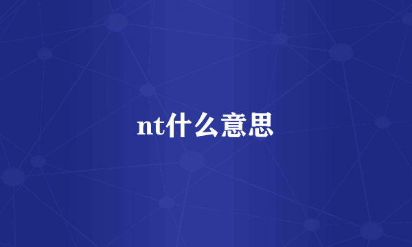 nt什么意思