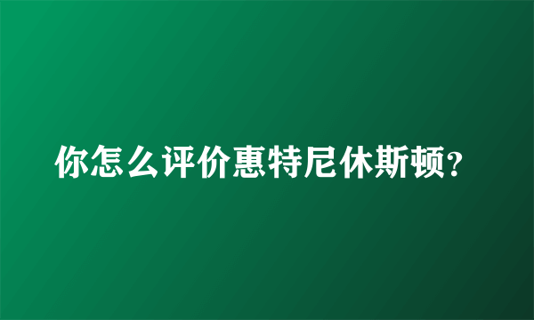 你怎么评价惠特尼休斯顿？