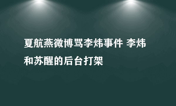 夏航燕微博骂李炜事件 李炜和苏醒的后台打架