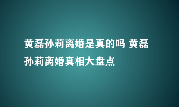 黄磊孙莉离婚是真的吗 黄磊孙莉离婚真相大盘点