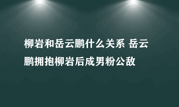 柳岩和岳云鹏什么关系 岳云鹏拥抱柳岩后成男粉公敌