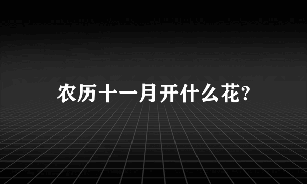 农历十一月开什么花?