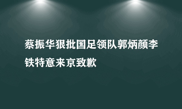 蔡振华狠批国足领队郭炳颜李铁特意来京致歉