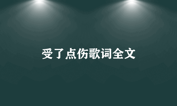 受了点伤歌词全文