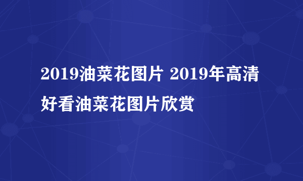 2019油菜花图片 2019年高清好看油菜花图片欣赏