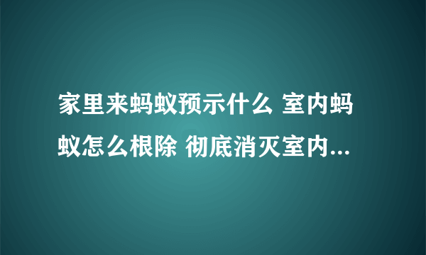 家里来蚂蚁预示什么 室内蚂蚁怎么根除 彻底消灭室内蚂蚁方法