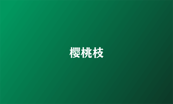 樱桃枝