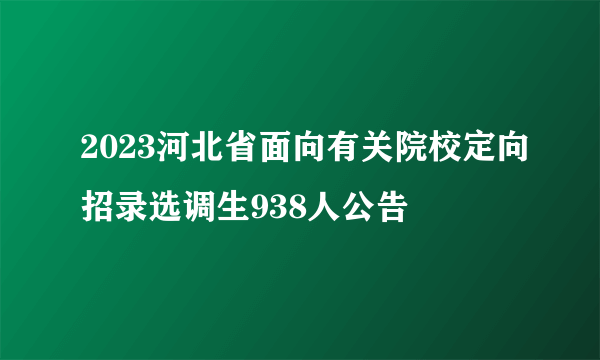 2023河北省面向有关院校定向招录选调生938人公告