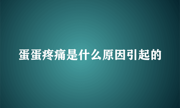 蛋蛋疼痛是什么原因引起的