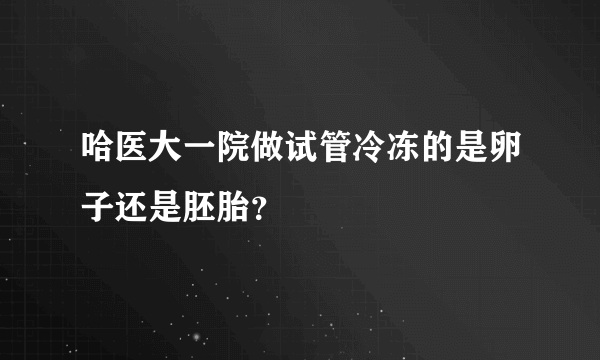 哈医大一院做试管冷冻的是卵子还是胚胎？