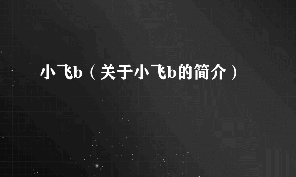 小飞b（关于小飞b的简介）