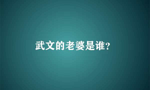 武文的老婆是谁？