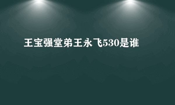 王宝强堂弟王永飞530是谁 