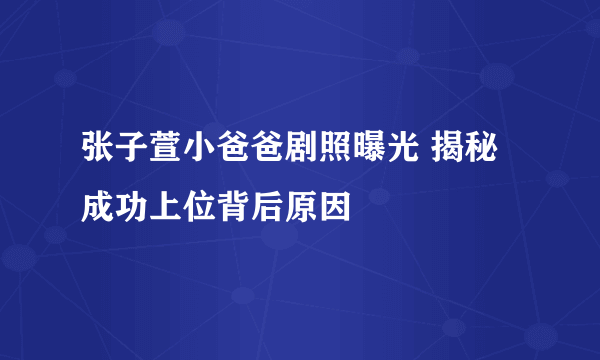 张子萱小爸爸剧照曝光 揭秘成功上位背后原因