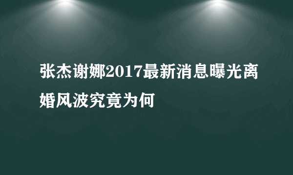 张杰谢娜2017最新消息曝光离婚风波究竟为何