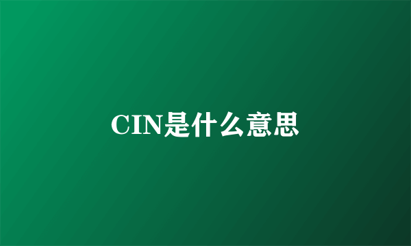 CIN是什么意思