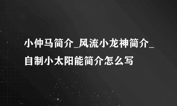 小仲马简介_风流小龙神简介_自制小太阳能简介怎么写