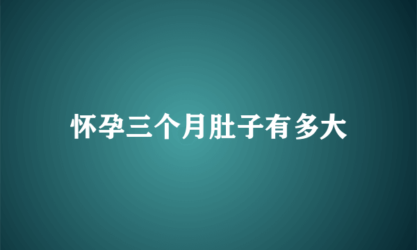 怀孕三个月肚子有多大