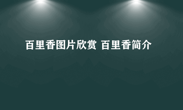 百里香图片欣赏 百里香简介