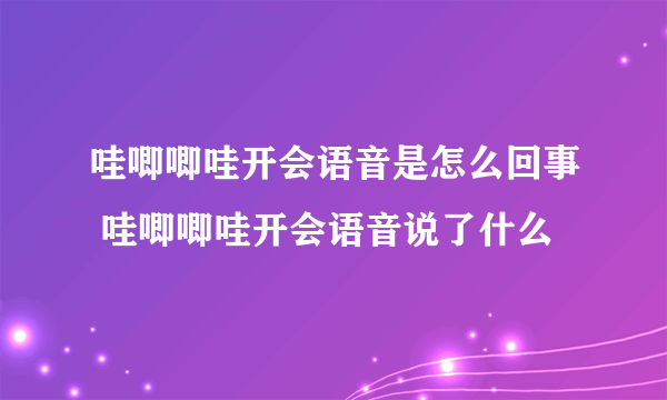 哇唧唧哇开会语音是怎么回事 哇唧唧哇开会语音说了什么