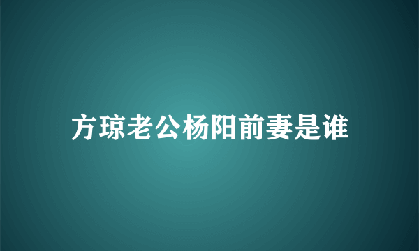 方琼老公杨阳前妻是谁