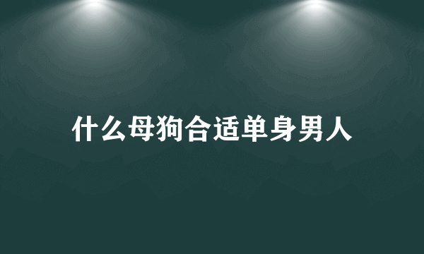 什么母狗合适单身男人