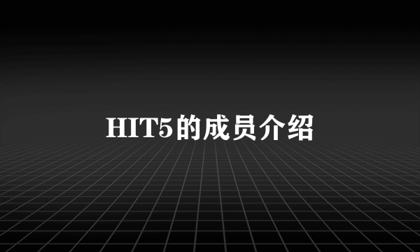 HIT5的成员介绍