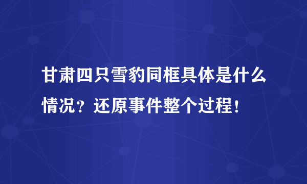 甘肃四只雪豹同框具体是什么情况？还原事件整个过程！