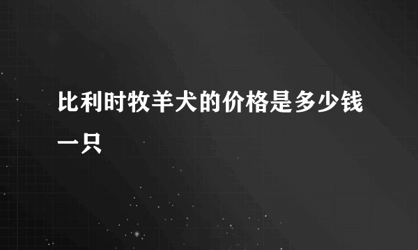 比利时牧羊犬的价格是多少钱一只