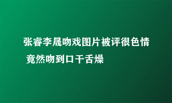 张睿李晟吻戏图片被评很色情 竟然吻到口干舌燥