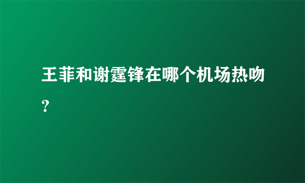 王菲和谢霆锋在哪个机场热吻？