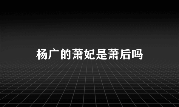 杨广的萧妃是萧后吗