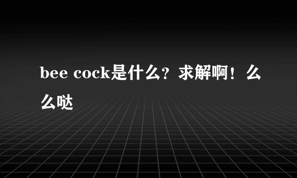 bee cock是什么？求解啊！么么哒