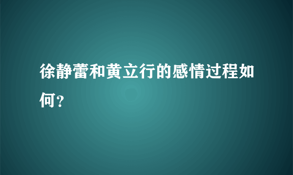 徐静蕾和黄立行的感情过程如何？