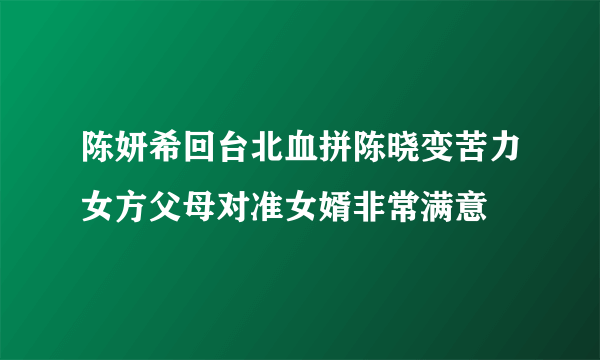 陈妍希回台北血拼陈晓变苦力女方父母对准女婿非常满意