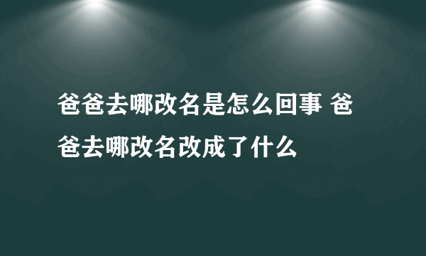 爸爸去哪改名是怎么回事 爸爸去哪改名改成了什么