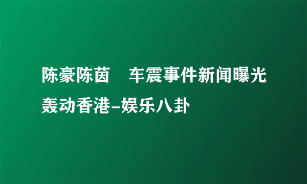 陈豪陈茵媺车震事件新闻曝光轰动香港-娱乐八卦